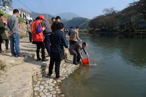 湖洋溪开展国家级水产种质资源保护区增殖放流活动