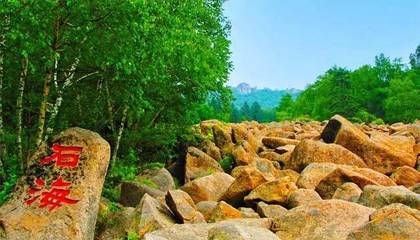 “旅游+”综合开发项目丨承德市北大山石海森林公园项目